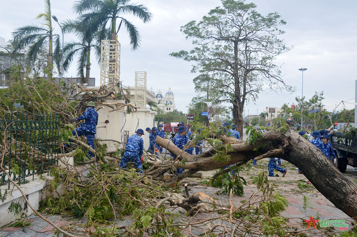Bộ tư lệnh Vùng Cảnh sát biển 1 giúp dân khắc phục hậu quả bão số 3 tại Hải Phòng


